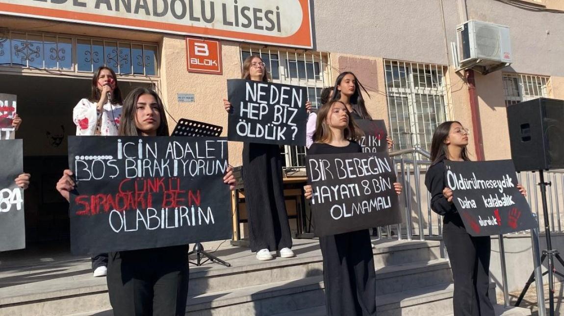 Vali İhsan Dede Anadolu Lisesi Şiddete 